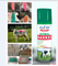FARBEN-Vieh-Markierungspigmentfärbung Eco vorübergehende Tiermarkierungs