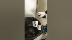 Acrylsprühfarbe für Innen- u. Gebrauch im Freien unterscheidet sich Einsatztemperatur