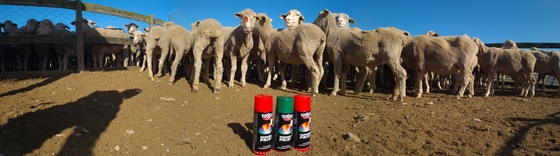 Schaf-Markierungsfarbe Eco 500ml Plyfit freundliches Farbendstück-Tiermarkierungssprühfarbe