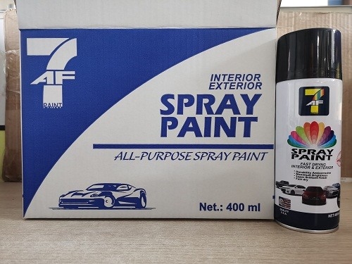 Kundengebundene Farbentferner-Umwandlungs-Art Soem des Aerosol-400ml/ODM-Service